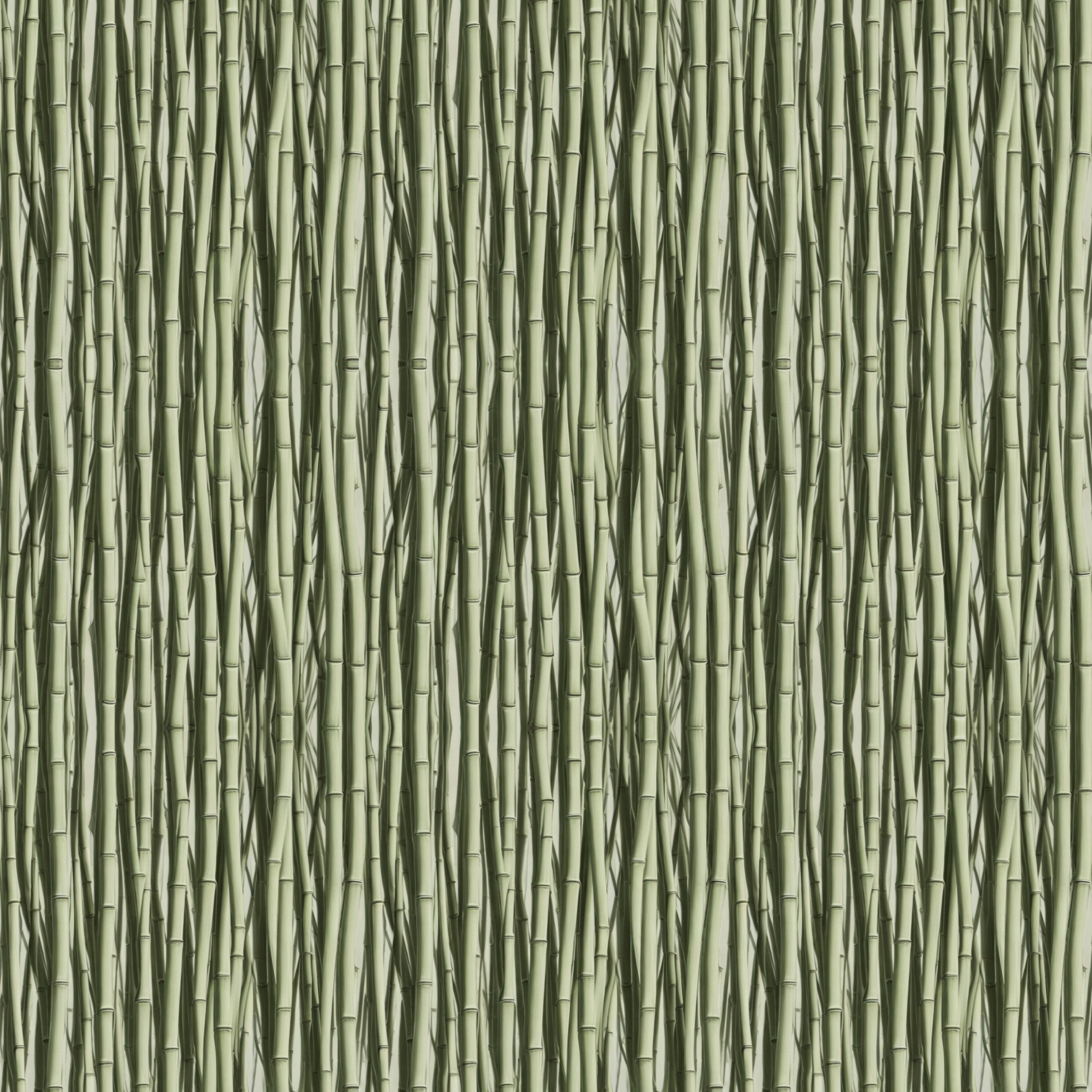Bamboo Stalk Pattern