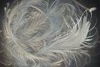 Feathered Art Collection
